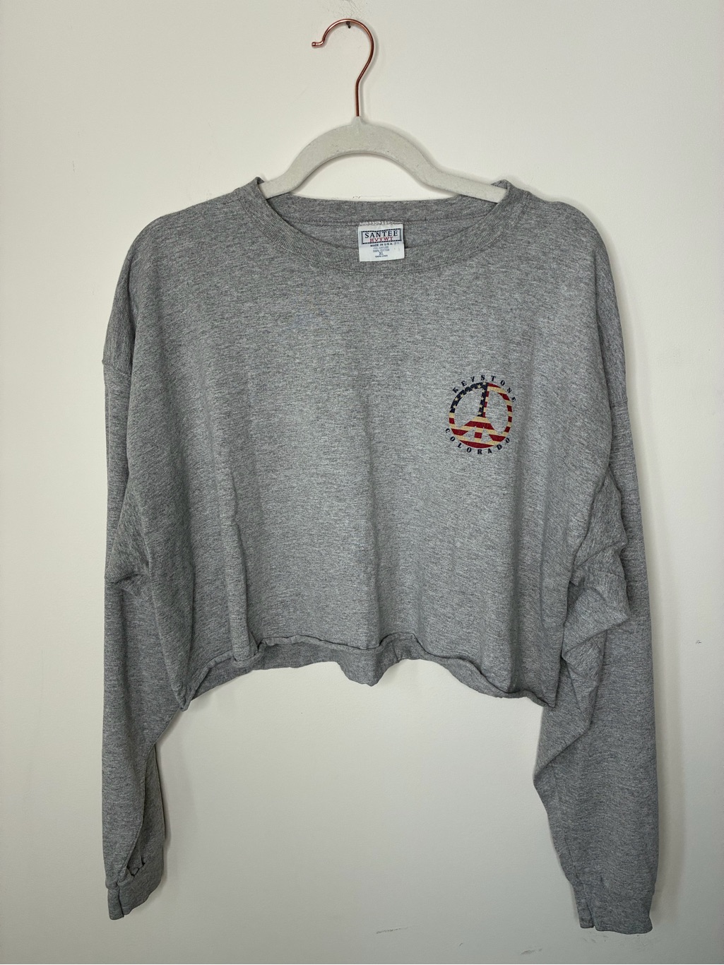 Wildfox Gray Cropped Sweatshirt With Small Red Detail